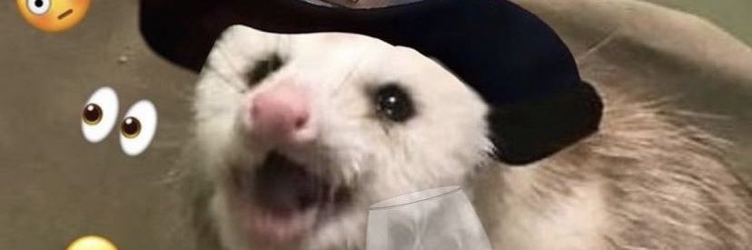 Megfaye's profile banner image