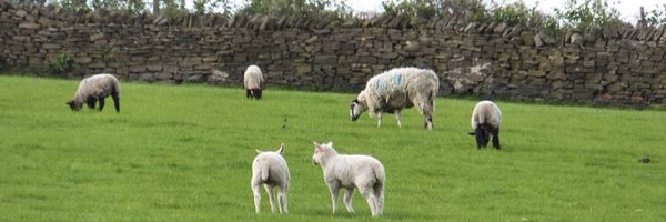 WhirlowHallFarm Profile Banner