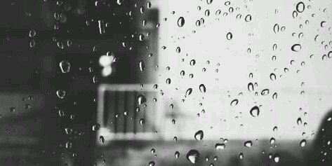 locopinko's profile banner image