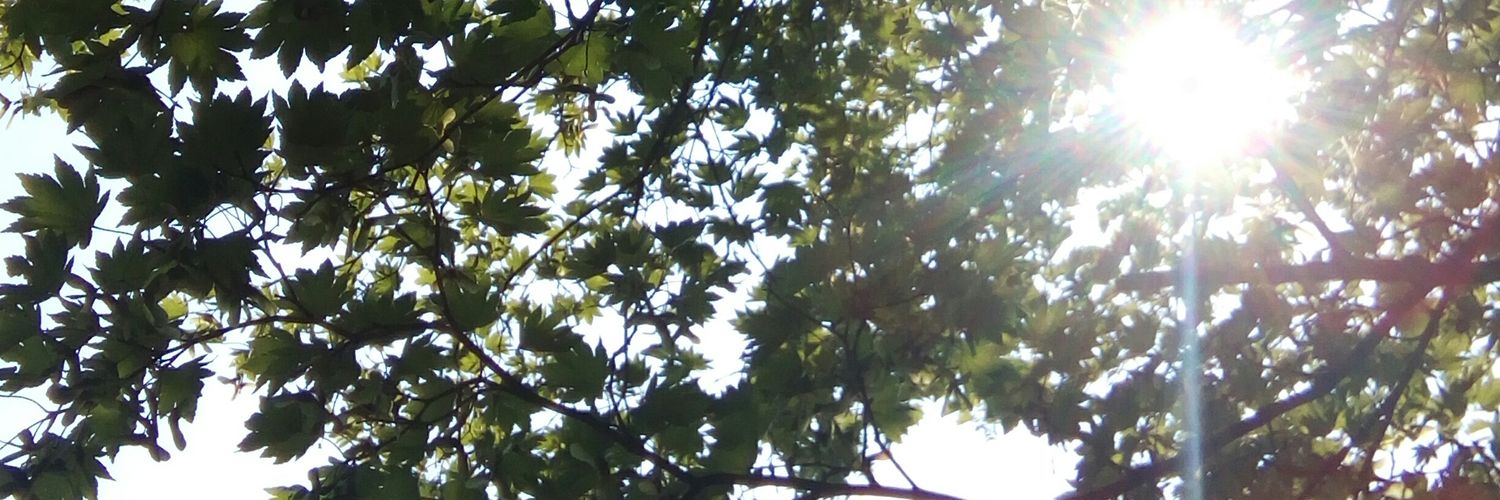 AshRimako's profile banner image