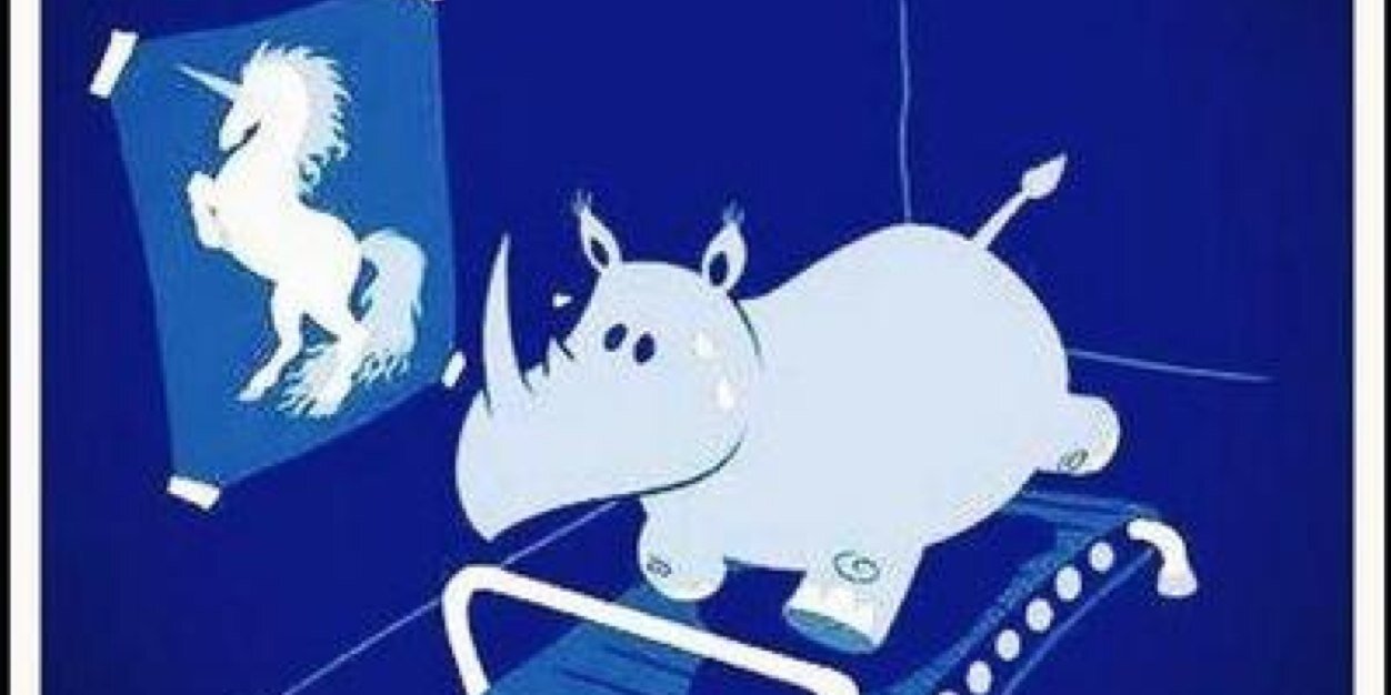 Orlaith Kelly banner