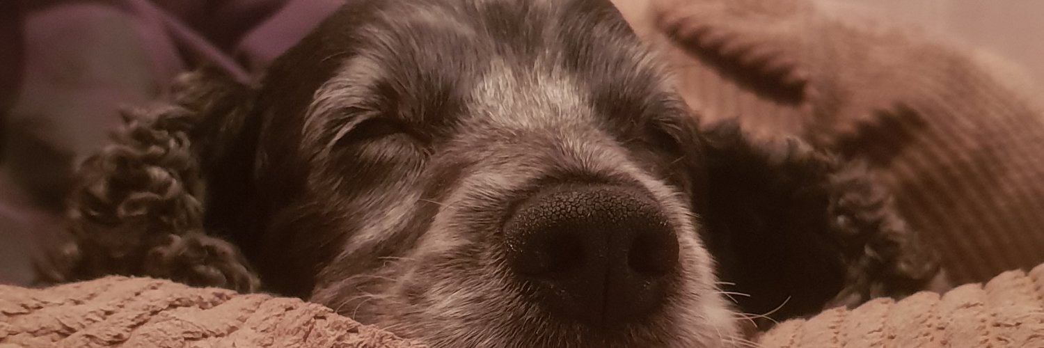 maxogod's profile banner image