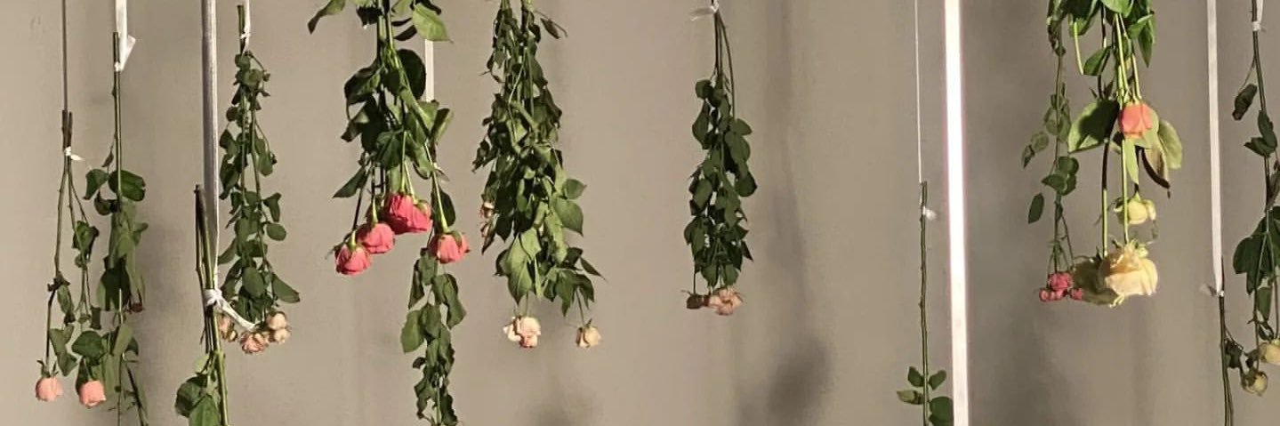 a5_nnnnn's profile banner image
