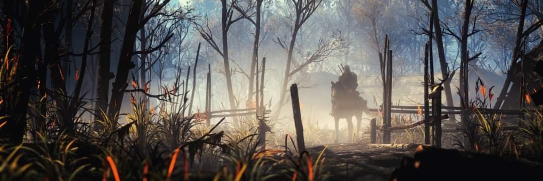 Domenico Decoco banner