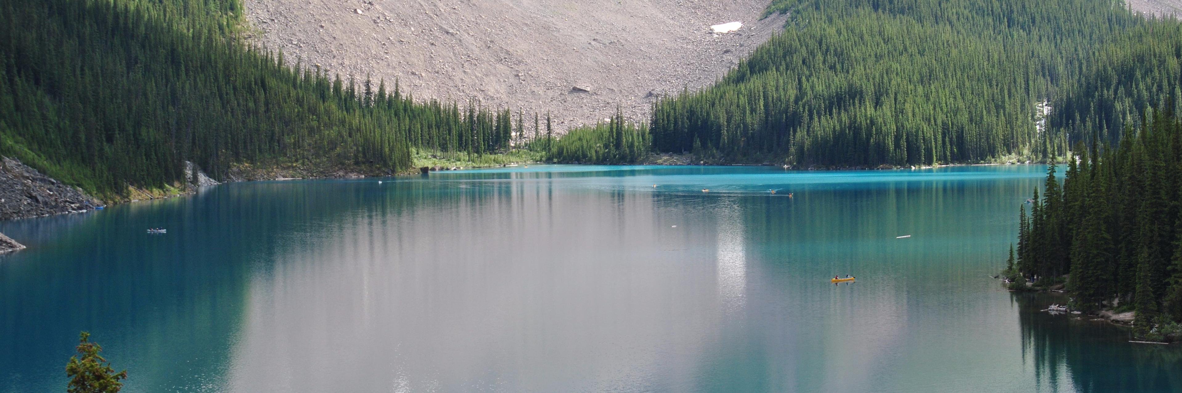 Orla Adams 💙 banner