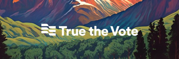 True the Vote Profile Banner