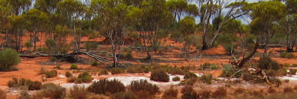 knarfnamduh Profile Banner