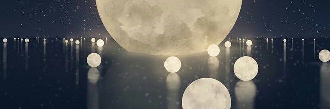 JUNE.🍃 banner