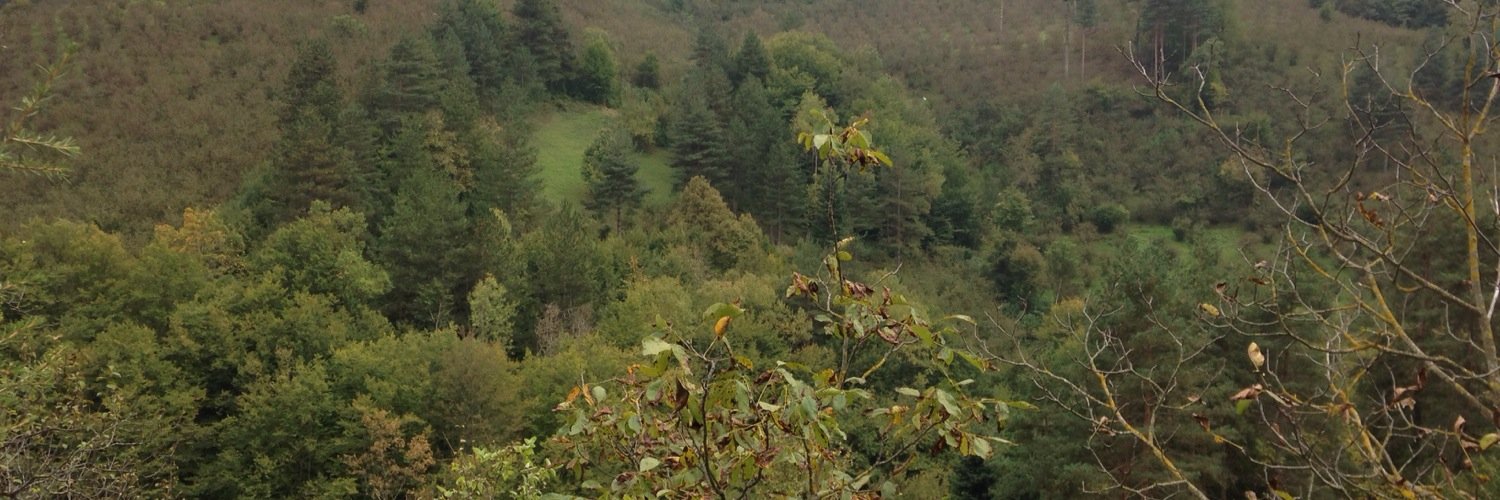 ENGINCOLAKOGLU's profile banner image