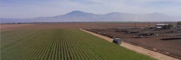 TelemundoFresno Profile Banner