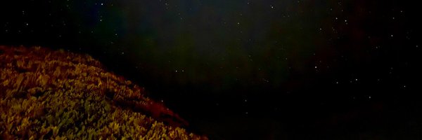 ningpynn_ Profile Banner