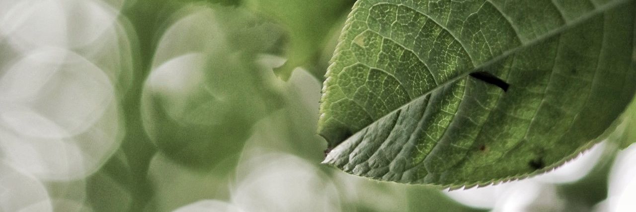 UnghAnton's profile banner image