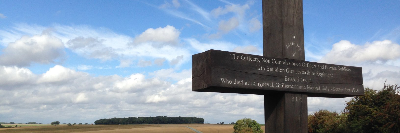 Tim Thurlow's banner