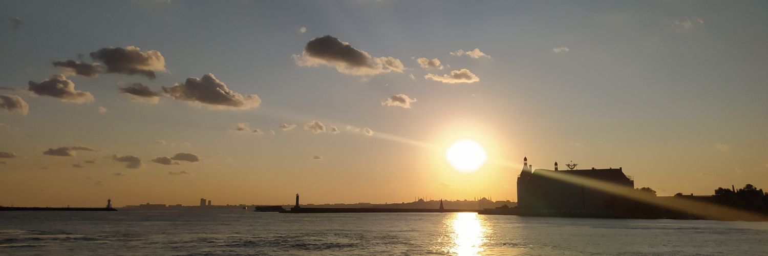 gulsumattar's profile banner image