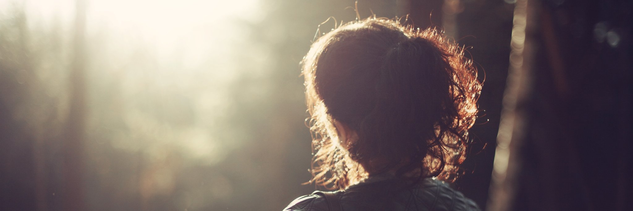 Fundació Vila-Saborit banner