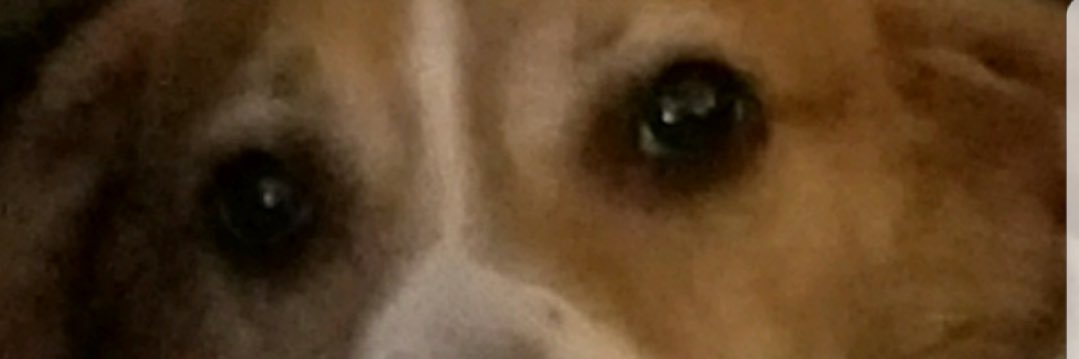 markb_good's profile banner image