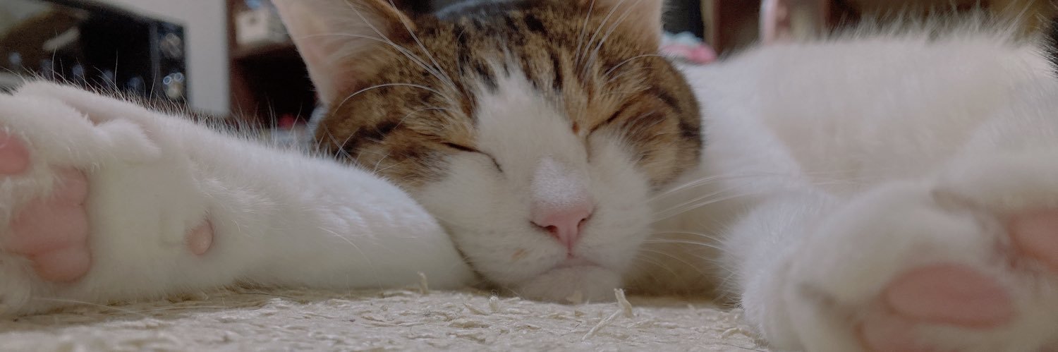 しゃーぷねこ banner