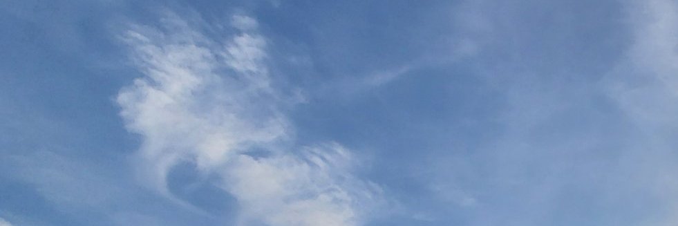 nobu8940's profile banner image