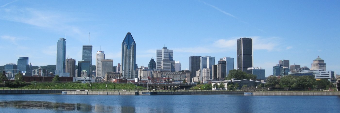 Gaudérique Traub banner