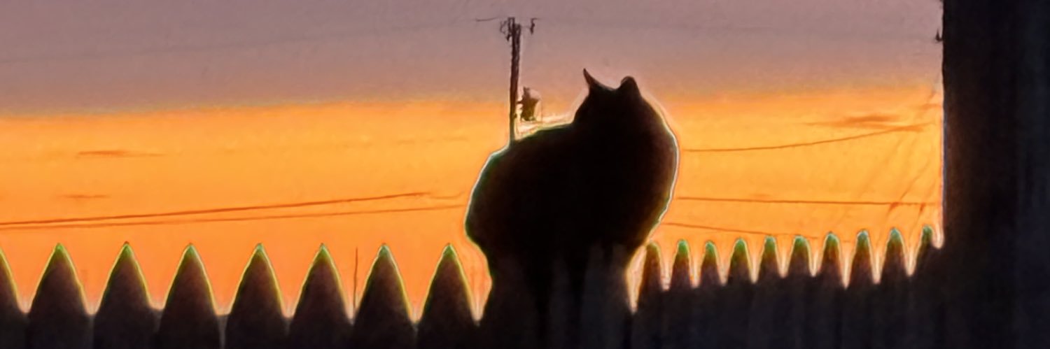 laineypena's profile banner image