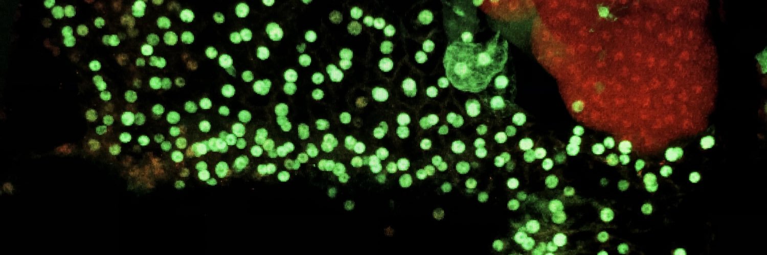 Sumit Saurabh banner