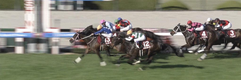 ぶろ︎︎︎︎お。🏇競馬シート【BINDEX】 banner