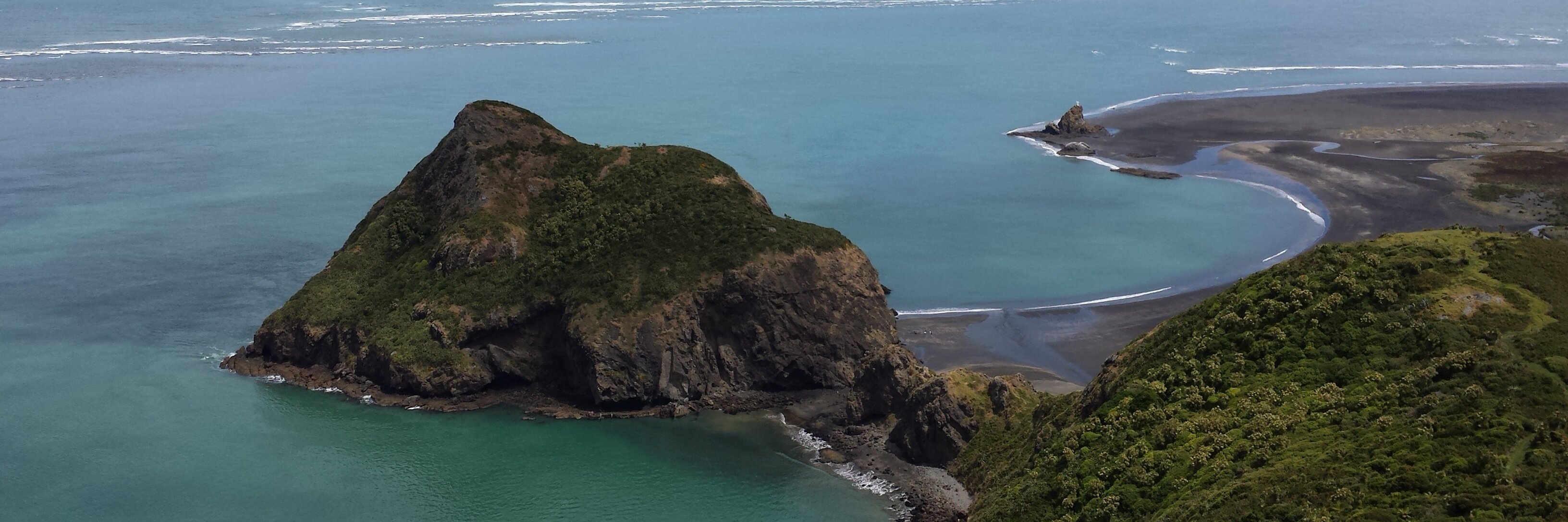 Simon Gianoutsos banner