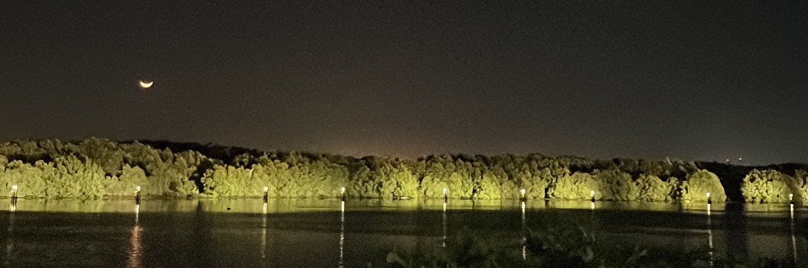 14portall's profile banner image