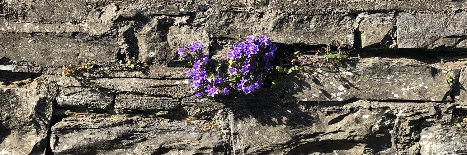 Simon O'Neill banner