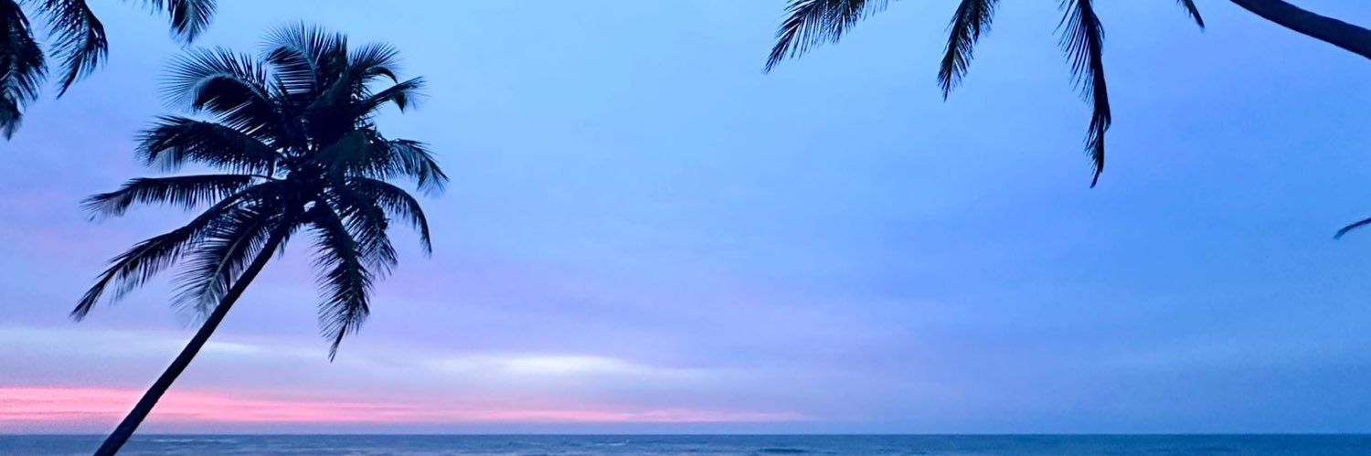RDCVDJ's profile banner image