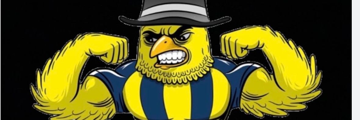 sezaikaracaa's profile banner image