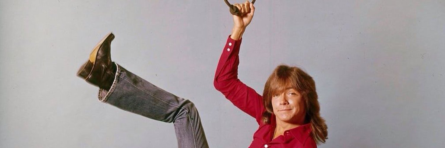 Hell Yeah David Cassidy! Profile Banner