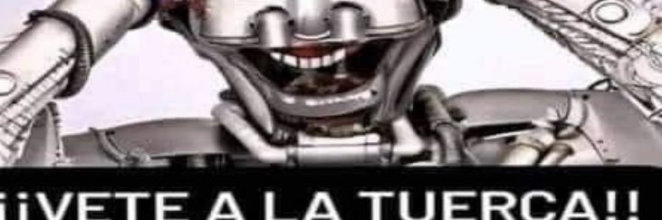 seven banner