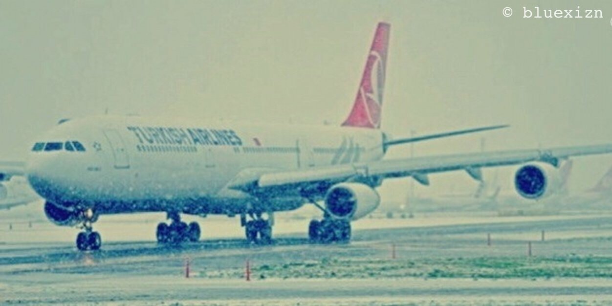 알 🐈 ⠣⠂🎗 banner