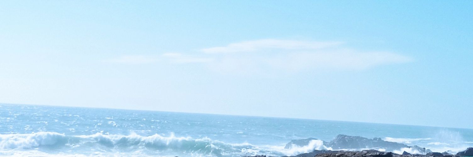 _jeli_'s profile banner image