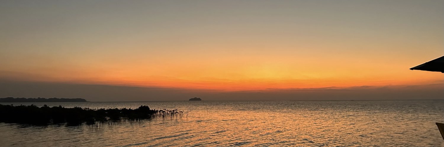 elaapaarr's profile banner image