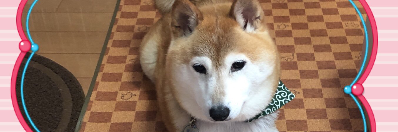 mieko_60's profile banner image