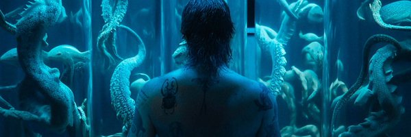 chameleo_ Profile Banner