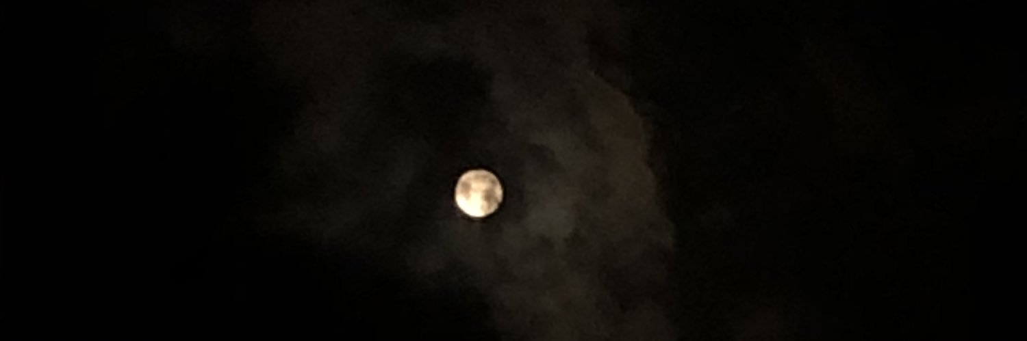 سلمان^*^ banner