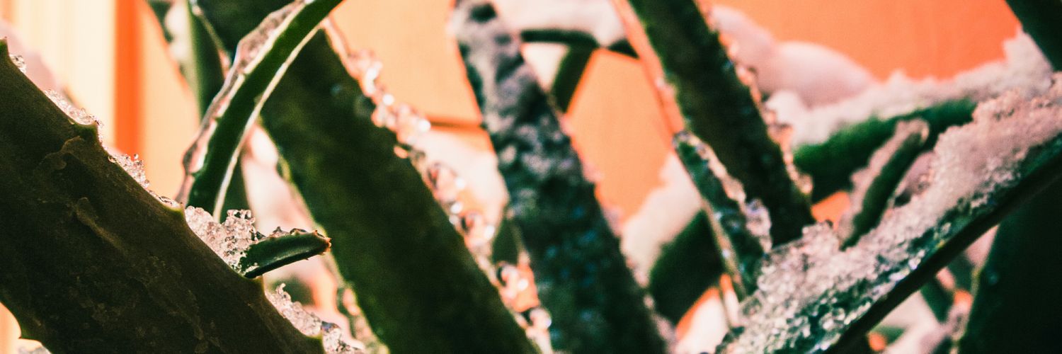 EloyDiazP's profile banner image