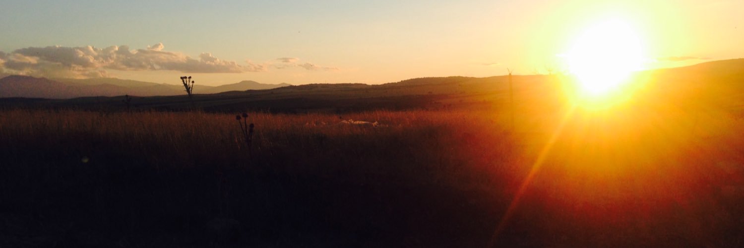 dpoptweets's profile banner image