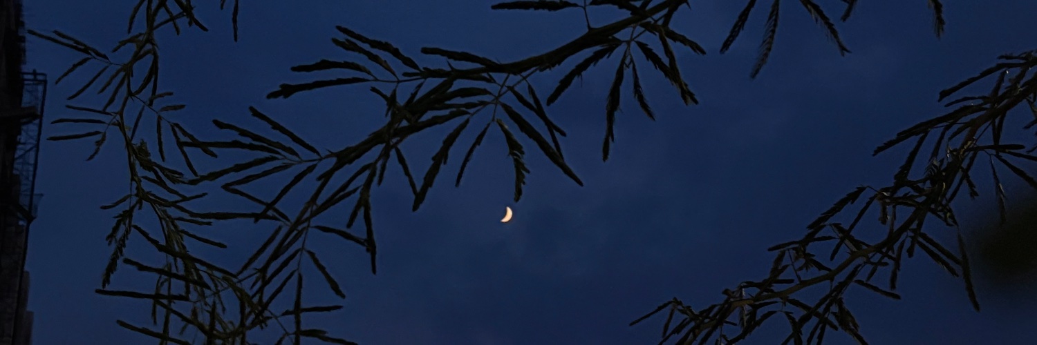 faixaparvex's profile banner image
