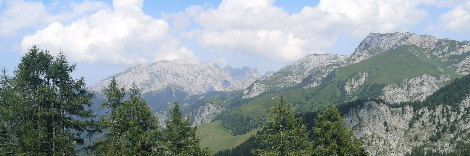 Marcus Zacher banner