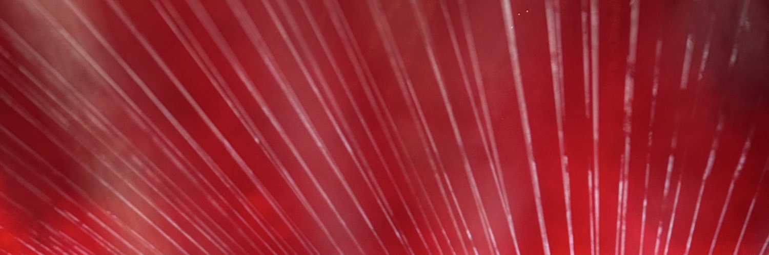 luispedrohb's profile banner image