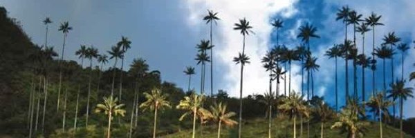 KhanQuintero Profile Banner