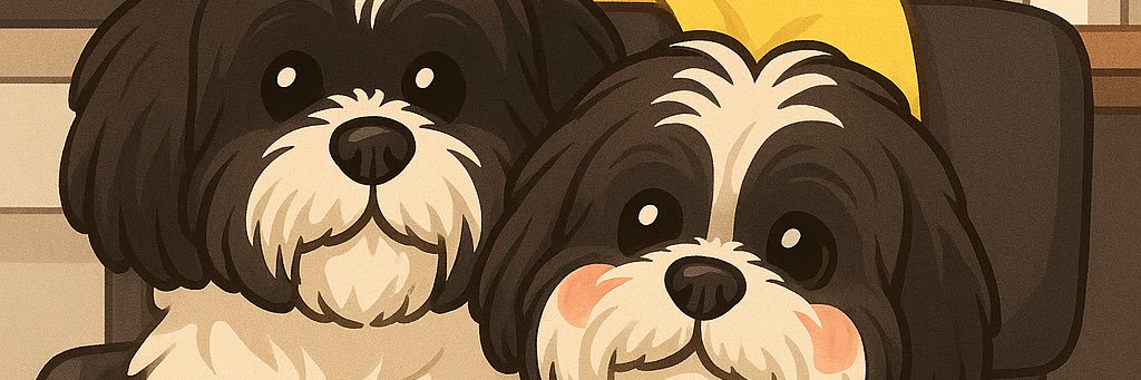 aleemares_'s profile banner image