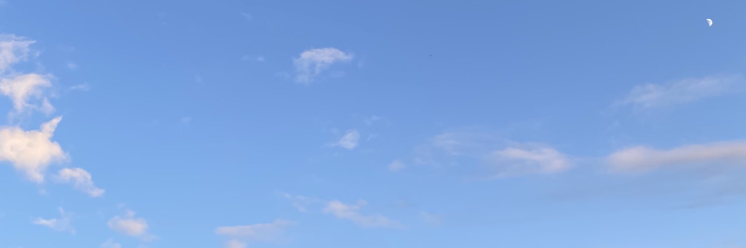 taharu_'s profile banner image