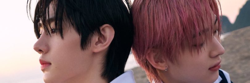 𝓷𝓲𝓽𝓪 𐙚⋆°. banner