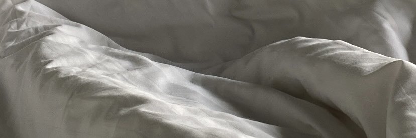 bipp banner