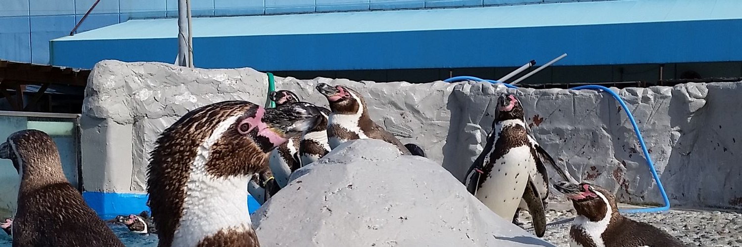 KkKToT27's profile banner image